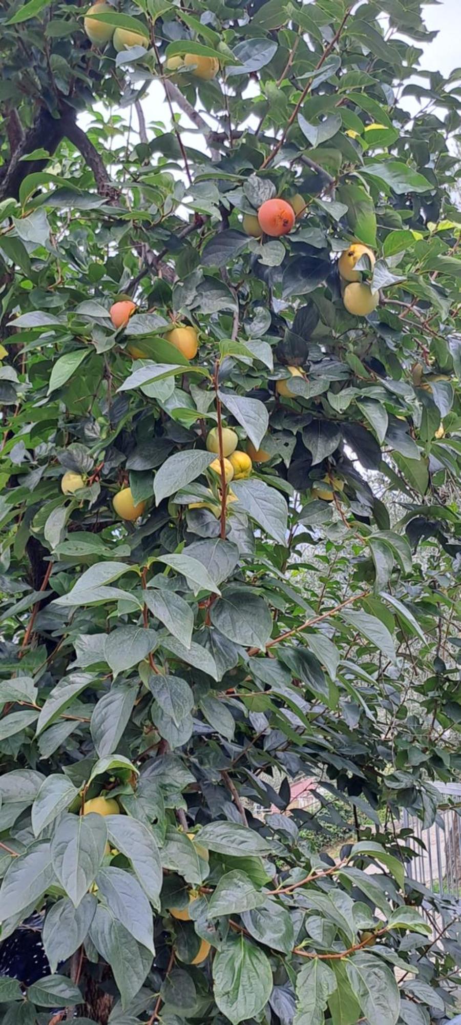 Appartamento Ciclamino มัลเชซิเน ภายนอก รูปภาพ